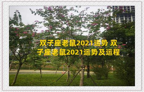 双子座老鼠2021运势 双子座老鼠2021运势及运程